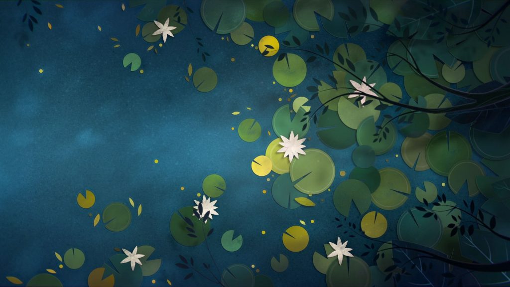 Video top 5: Beauty of nature